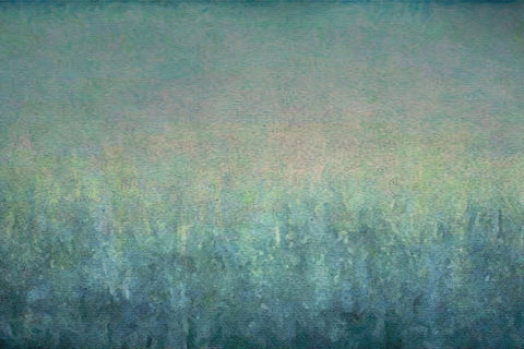 Among Trees White Modern Wood Framed Art Print with Double Matting by Alpenglow Workshop