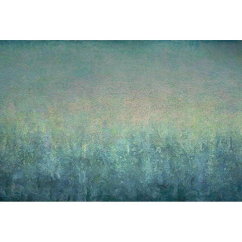 Among Trees Black Modern Wood Framed Art Print by Alpenglow Workshop