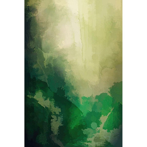 Forest Clearing  Black Modern Wood Framed Art Print with Double Matting by Alpenglow Workshop