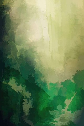 Forest Clearing  White Modern Wood Framed Art Print with Double Matting by Alpenglow Workshop