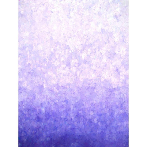 Mystified Gold Ornate Wood Framed Art Print with Double Matting by Alpenglow Workshop