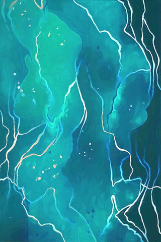 Sargasso Sea Black Ornate Wood Framed Art Print with Double Matting by Alpenglow Workshop