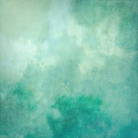 Verdantheart Black Modern Wood Framed Art Print by Alpenglow Workshop