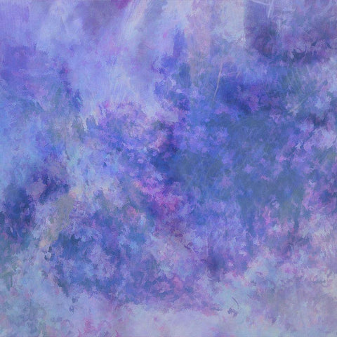 Wistful Recollections Gold Ornate Wood Framed Art Print with Double Matting by Alpenglow Workshop