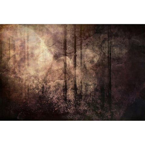 Wood between the Worlds Gold Ornate Wood Framed Art Print with Double Matting by Alpenglow Workshop