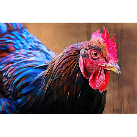 Australorp Chicken Gold Ornate Wood Framed Art Print with Double Matting by Alpenglow Workshop