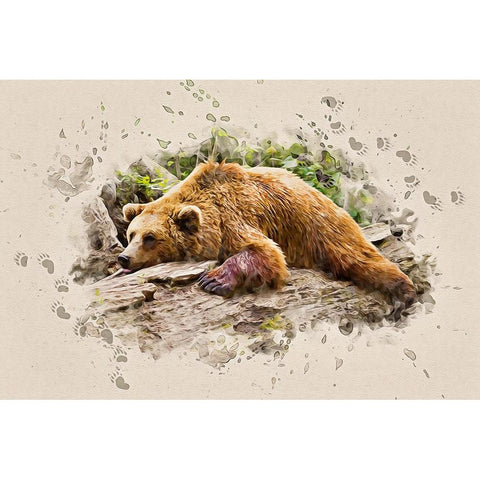 Bearly There Gold Ornate Wood Framed Art Print with Double Matting by Alpenglow Workshop