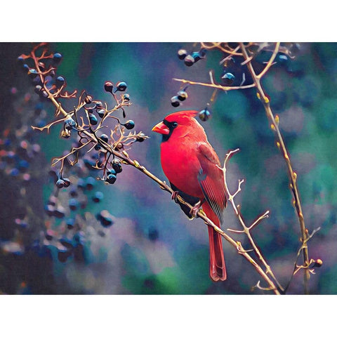 Cardinal and Berries Black Modern Wood Framed Art Print with Double Matting by Alpenglow Workshop