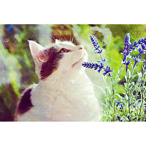 Conferring with the Flowers Black Modern Wood Framed Art Print by Alpenglow Workshop