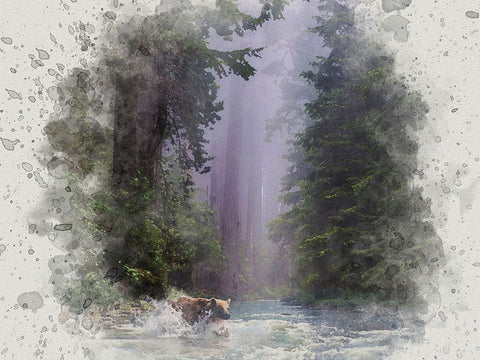 Fording the Stream White Modern Wood Framed Art Print with Double Matting by Alpenglow Workshop