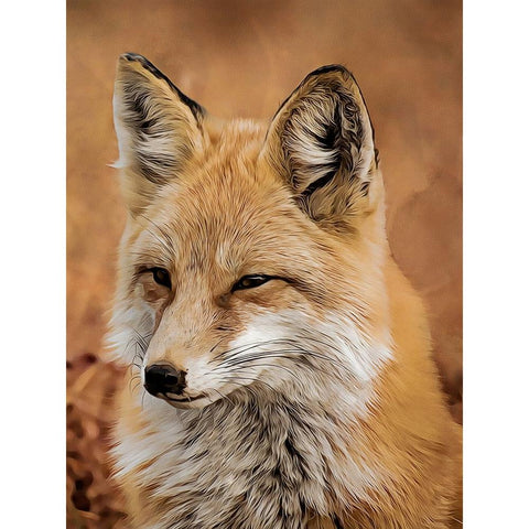 Fox Gold Ornate Wood Framed Art Print with Double Matting by Alpenglow Workshop