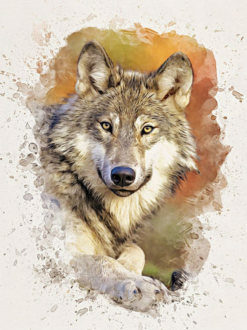 Gray Wolf Black Ornate Wood Framed Art Print with Double Matting by Alpenglow Workshop