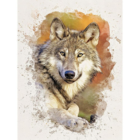 Gray Wolf White Modern Wood Framed Art Print by Alpenglow Workshop