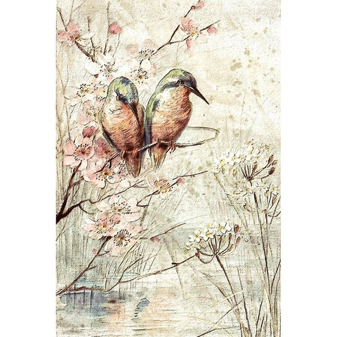 Kingfishers Black Modern Wood Framed Art Print by Alpenglow Workshop