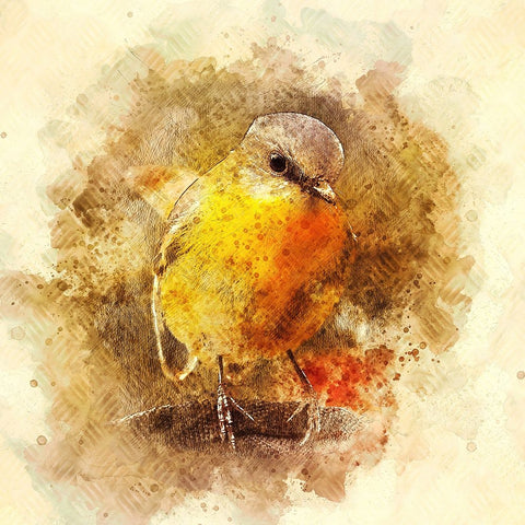 Little Bird Black Ornate Wood Framed Art Print with Double Matting by Alpenglow Workshop