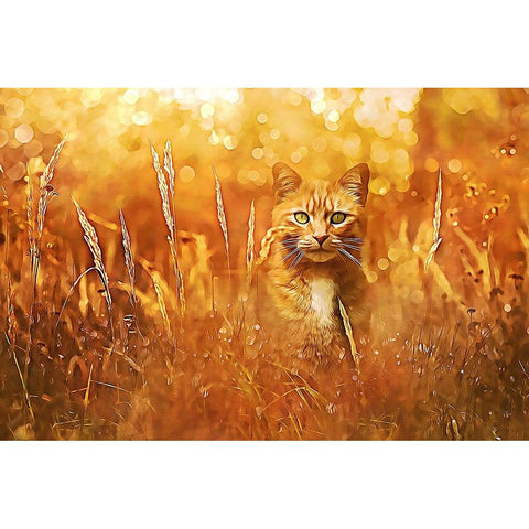 Little Tiger in the Grass White Modern Wood Framed Art Print by Alpenglow Workshop