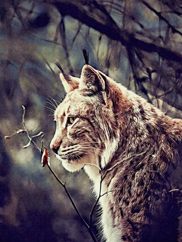 Lynx White Modern Wood Framed Art Print with Double Matting by Alpenglow Workshop