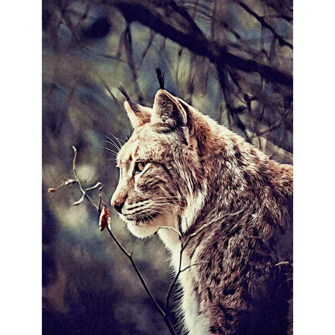 Lynx Gold Ornate Wood Framed Art Print with Double Matting by Alpenglow Workshop