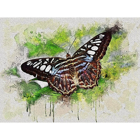 Outstretched Wings Black Modern Wood Framed Art Print with Double Matting by Alpenglow Workshop
