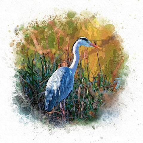 Patiently Waiting Gold Ornate Wood Framed Art Print with Double Matting by Alpenglow Workshop