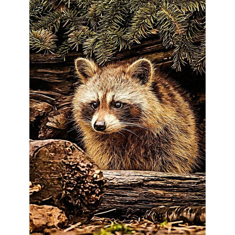 Raccoon White Modern Wood Framed Art Print by Alpenglow Workshop