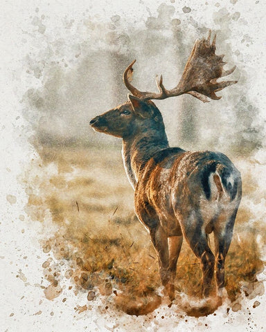 Silent Observer Black Ornate Wood Framed Art Print with Double Matting by Alpenglow Workshop