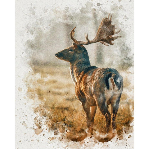 Silent Observer Black Modern Wood Framed Art Print by Alpenglow Workshop