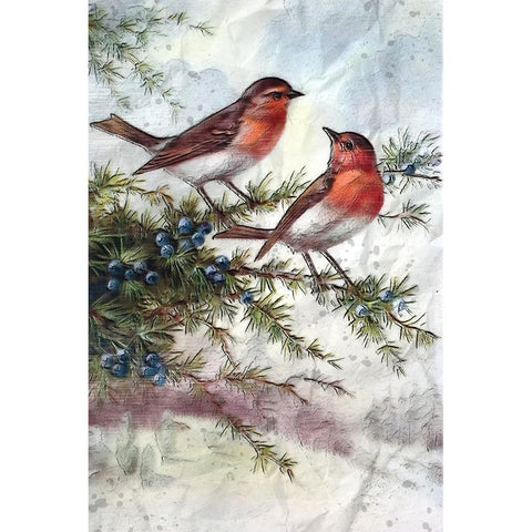 Winter Robins Gold Ornate Wood Framed Art Print with Double Matting by Alpenglow Workshop