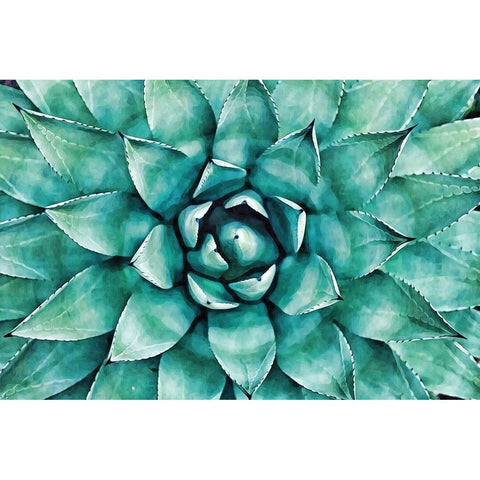 Heart of the Succulent Gold Ornate Wood Framed Art Print with Double Matting by Alpenglow Workshop