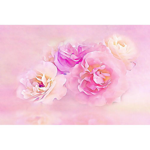 Pink Roses in the Clouds Gold Ornate Wood Framed Art Print with Double Matting by Alpenglow Workshop