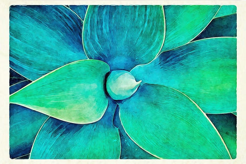 Viridian Starburst Black Ornate Wood Framed Art Print with Double Matting by Alpenglow Workshop