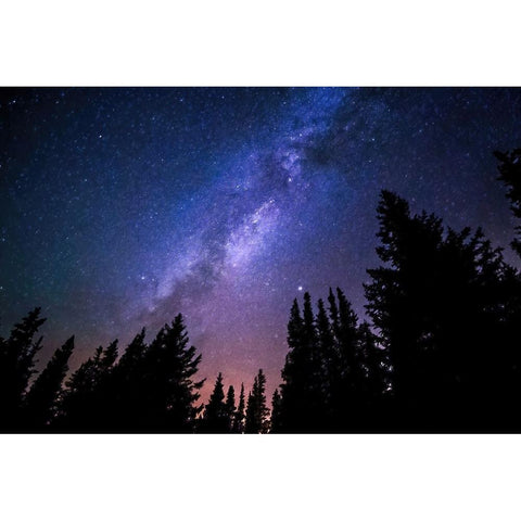Conifers Reaching to Milky Way Black Modern Wood Framed Art Print by Alpenglow Workshop