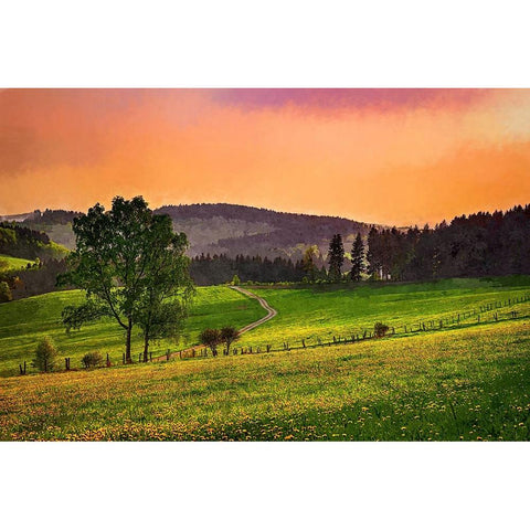 Evening Pasture Gold Ornate Wood Framed Art Print with Double Matting by Alpenglow Workshop