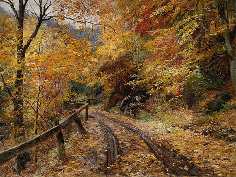 Falling Leaves White Modern Wood Framed Art Print with Double Matting by Alpenglow Workshop