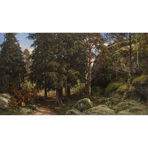 Forest Interior White Modern Wood Framed Art Print by Alpenglow Workshop