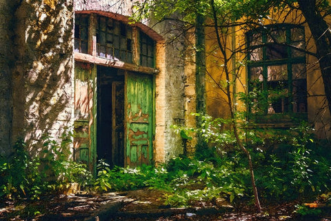 Forgotten Entrance Black Ornate Wood Framed Art Print with Double Matting by Alpenglow Workshop