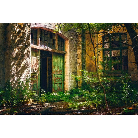 Forgotten Entrance Black Modern Wood Framed Art Print by Alpenglow Workshop