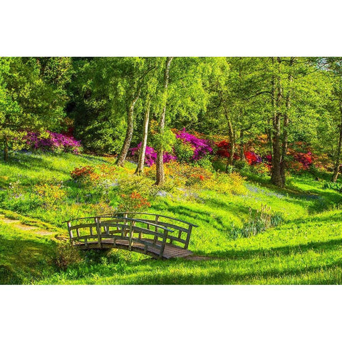 Garden Footpath Bridge White Modern Wood Framed Art Print by Alpenglow Workshop