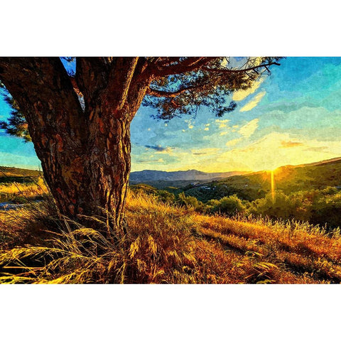 Gnarled Tree at Sunset Gold Ornate Wood Framed Art Print with Double Matting by Alpenglow Workshop