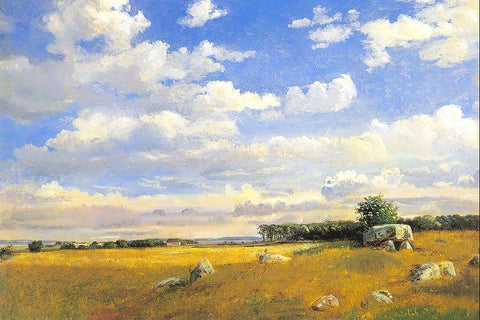 Meadow with Rocky Outcrops White Modern Wood Framed Art Print with Double Matting by Alpenglow Workshop