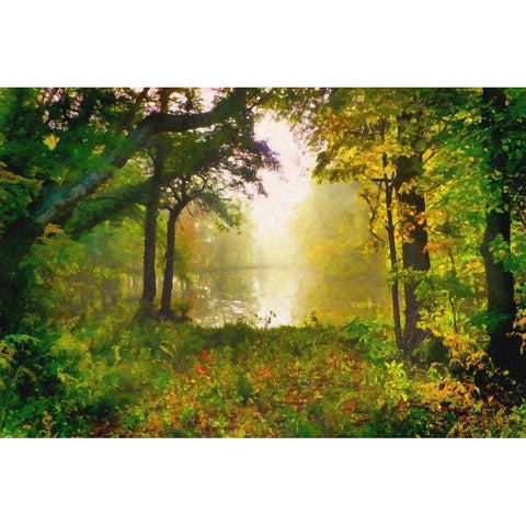 Morning Mist Black Modern Wood Framed Art Print with Double Matting by Alpenglow Workshop