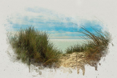 Ocean View Black Ornate Wood Framed Art Print with Double Matting by Alpenglow Workshop