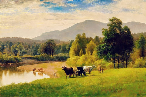 Pasture Lands White Modern Wood Framed Art Print with Double Matting by Alpenglow Workshop