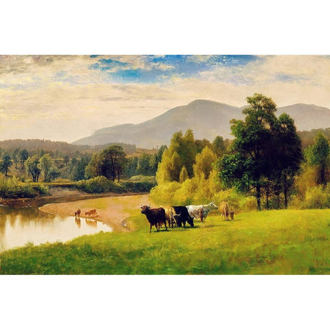 Pasture Lands Black Modern Wood Framed Art Print by Alpenglow Workshop