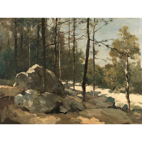 Rocky Path Black Modern Wood Framed Art Print with Double Matting by Alpenglow Workshop