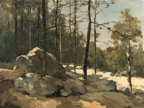 Rocky Path Black Ornate Wood Framed Art Print with Double Matting by Alpenglow Workshop