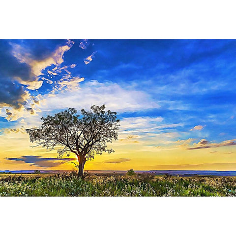 Solitary Tree at Sundown Black Modern Wood Framed Art Print with Double Matting by Alpenglow Workshop