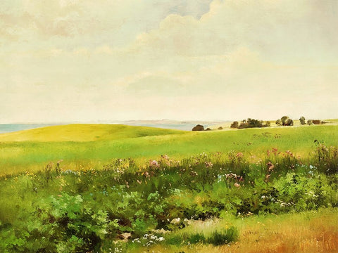 Summer Lands White Modern Wood Framed Art Print with Double Matting by Alpenglow Workshop