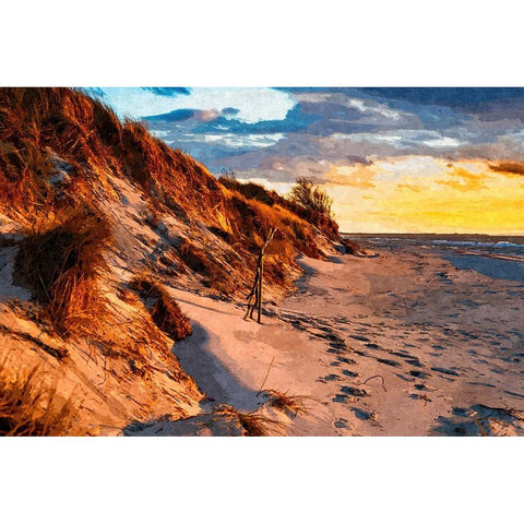 Sunset on the Dunes Gold Ornate Wood Framed Art Print with Double Matting by Alpenglow Workshop