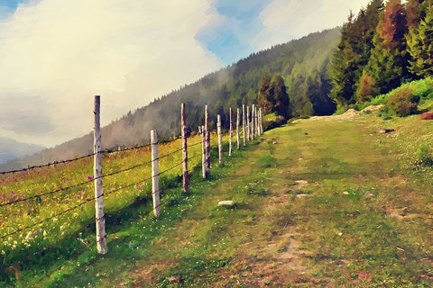 Uphill Climb White Modern Wood Framed Art Print with Double Matting by Alpenglow Workshop